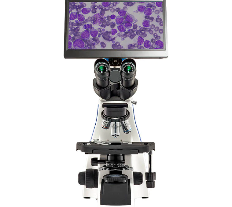 BioVIEW_8b19fece-7b22-46b1-b1a3-8ca8627162c2_1024x