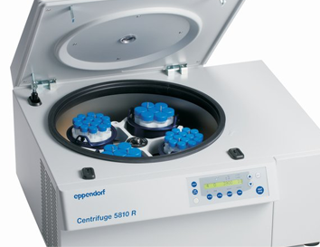 eppendorf