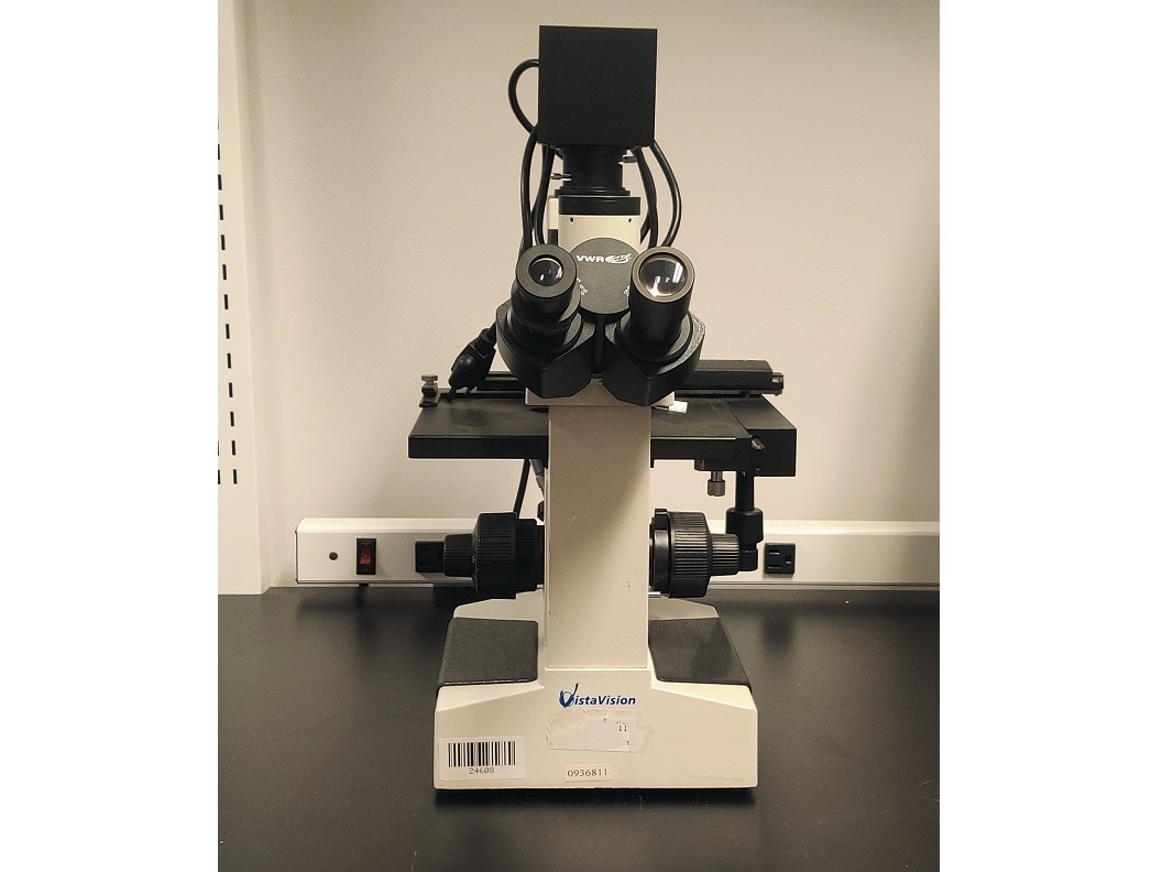 VWR VistaVision Compound Microscope