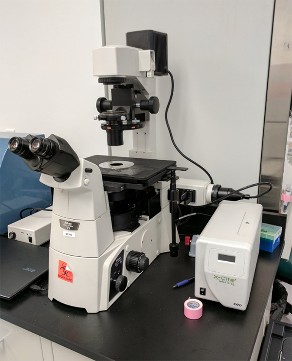 Nikon Eclipse Ti-S/L100 Inverted Phase Contrast Microscope