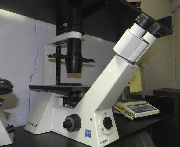 Zeiss Axiovert 25 Inverted Phase Contrast Microscope