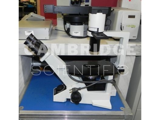 Olympus CKX31 Inverted Phase Contrast Microscope