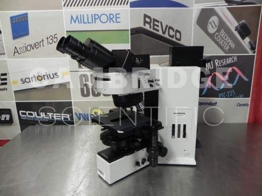 Olympus BX60F-3 Compound Fluorescent Microscope