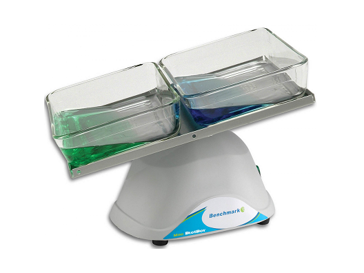 Benchmark Scientific Mini BlotBoy B3D1008 *NEW* Platform Rocker