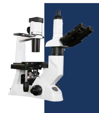 LW Scientific Inverted Infinity *NEW* Inverted Microscope