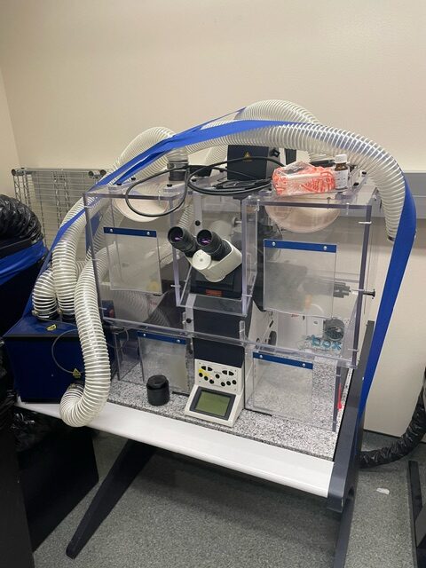 Leica SP5 Confocal Microscope
