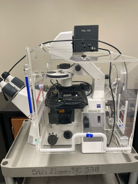 Zeiss Axio Observer Z1 Inverted Microscope