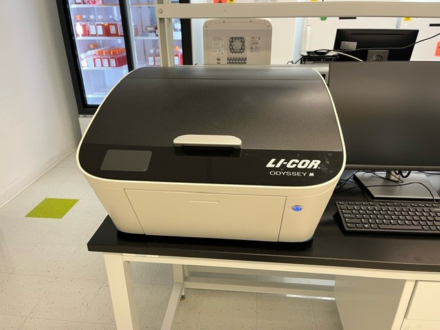 Li-Cor Odyssey M Imager