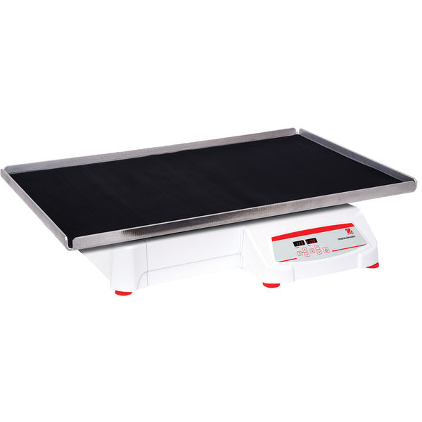 Ohaus SHHD6850DG *NEW* Orbital Shaker