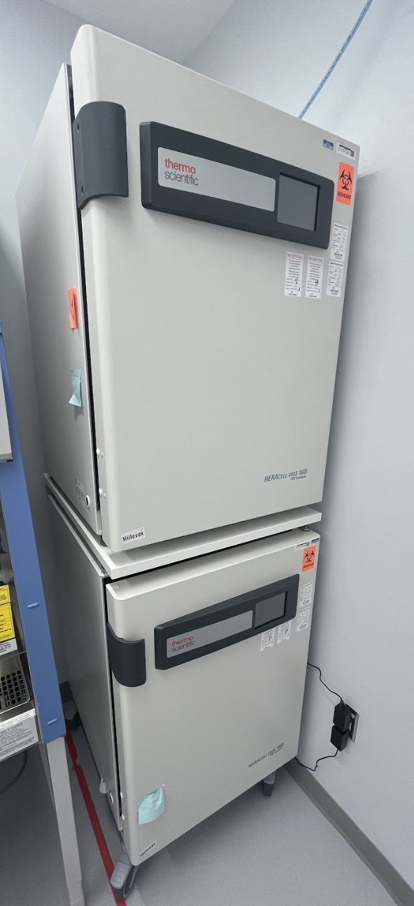 Thermo Scientific Heracell vios 160i CO2 Incubator