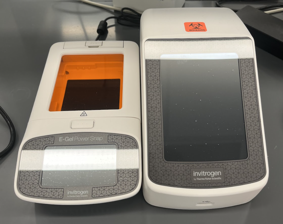 Invitrogen E-Gel Power Snap Electrophoresis System