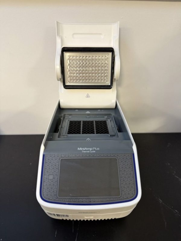 MiniAmp Plus : 29519