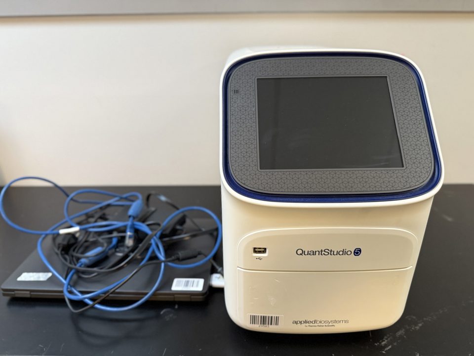 QuantStudio 5 : 29503