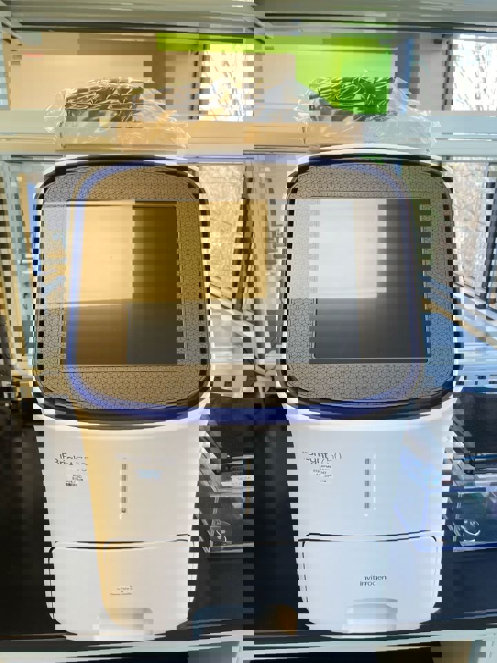 iBright CL750 : 29631