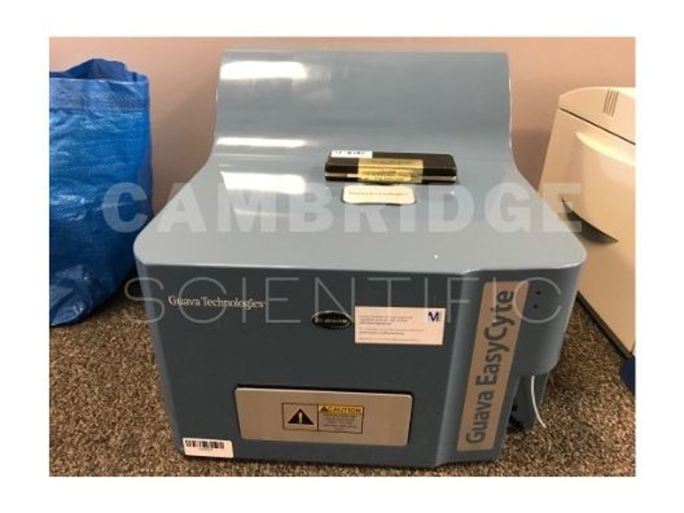 Guava EasyCyte : 16054