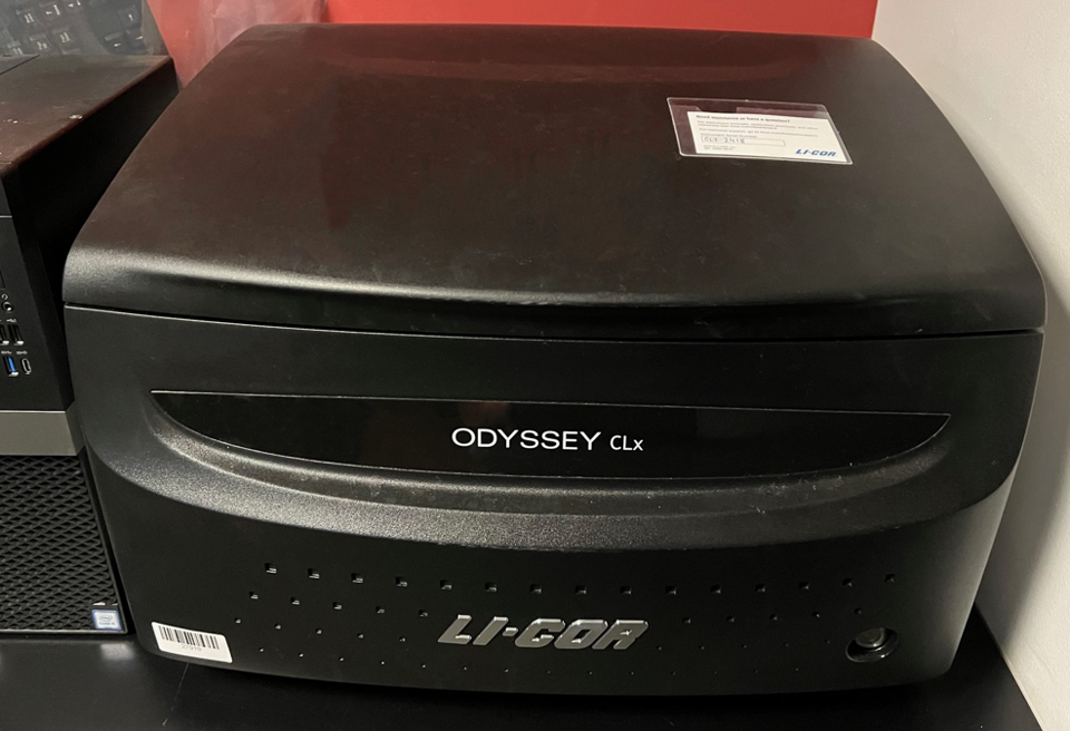 Odyssey CLx : 27969