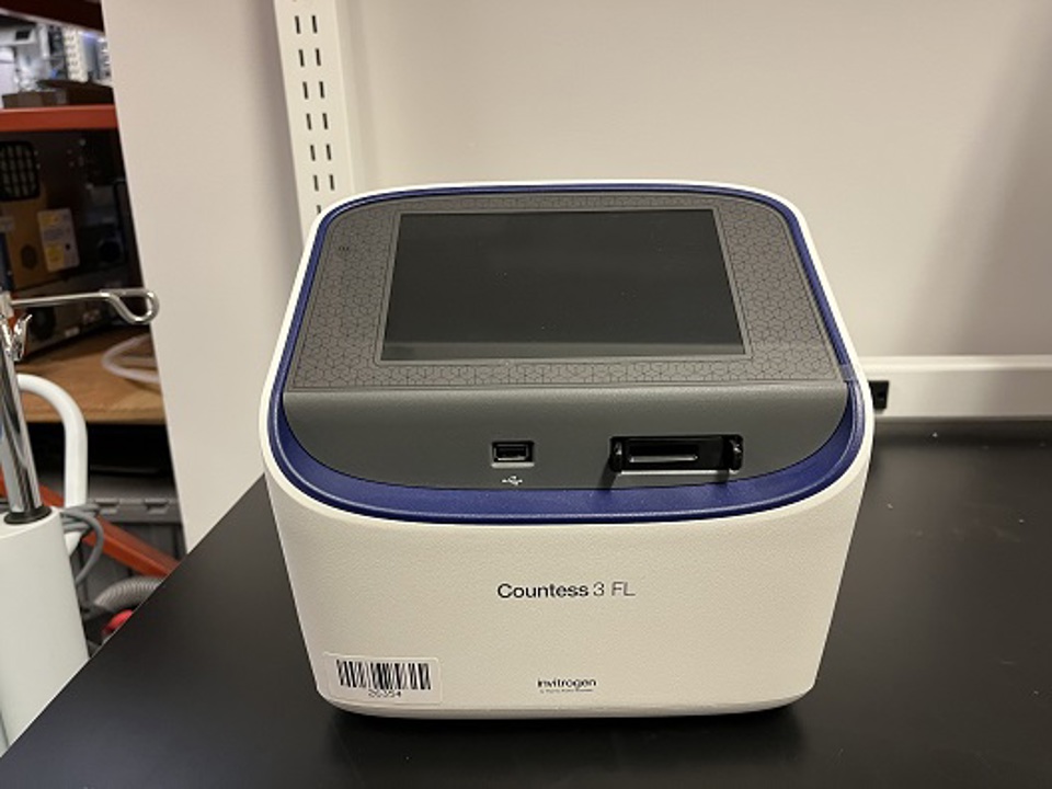 Countess II FL : 26725