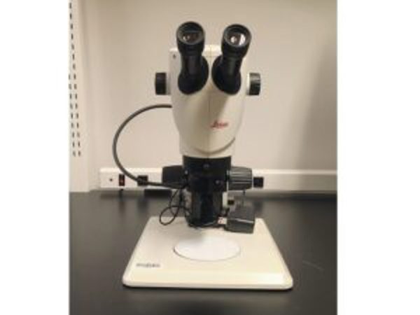 Stereozoom S9E : 26021