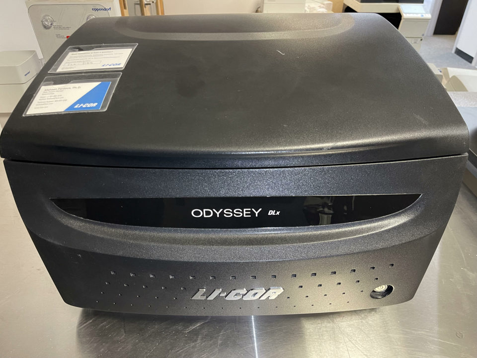 Odyssey DLx : 28536