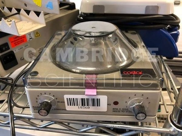 Costar Microcentrifuge : 20982