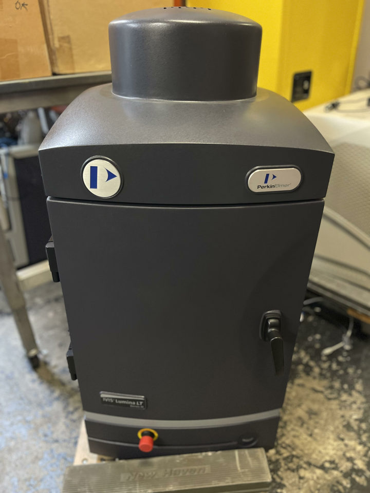 IVIS Lumina LT : 28532