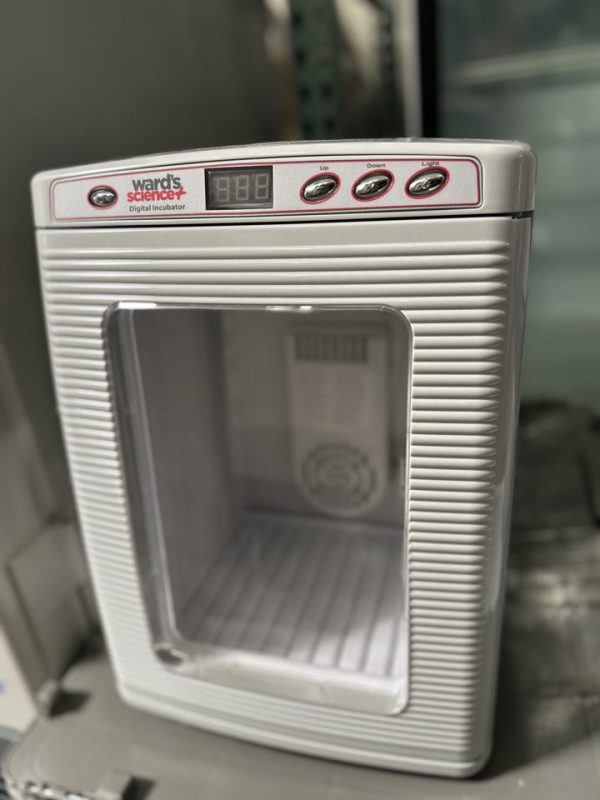 Mini Digital Incubator : 29207