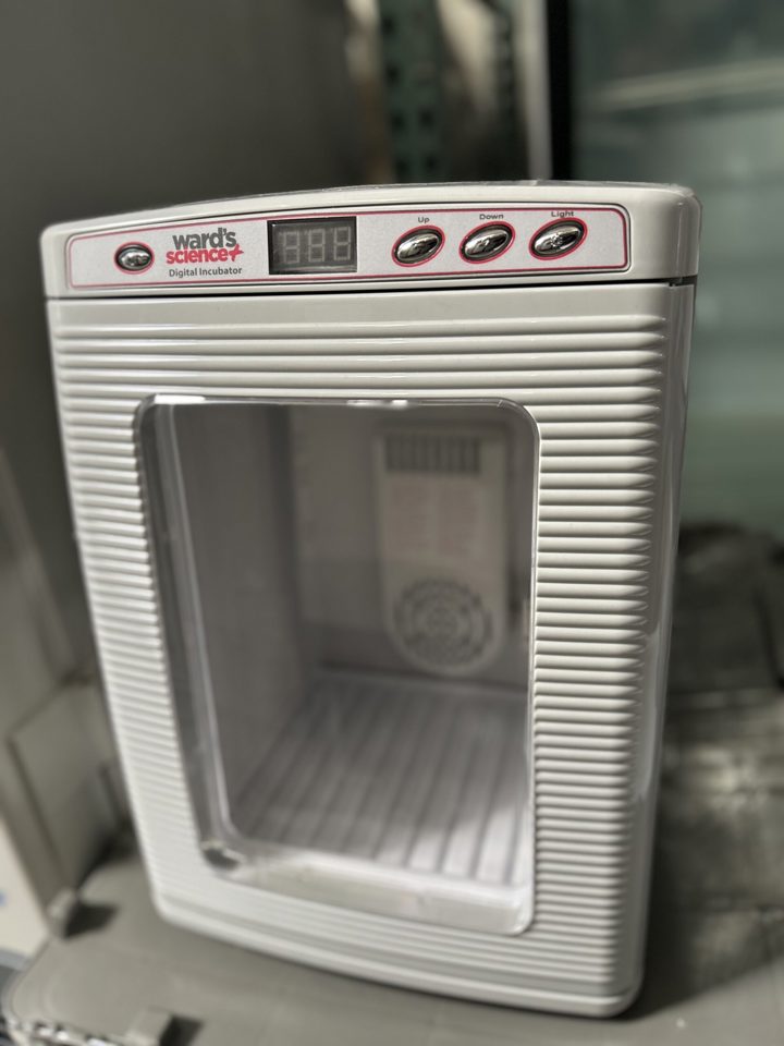 Mini Digital Incubator : 29207